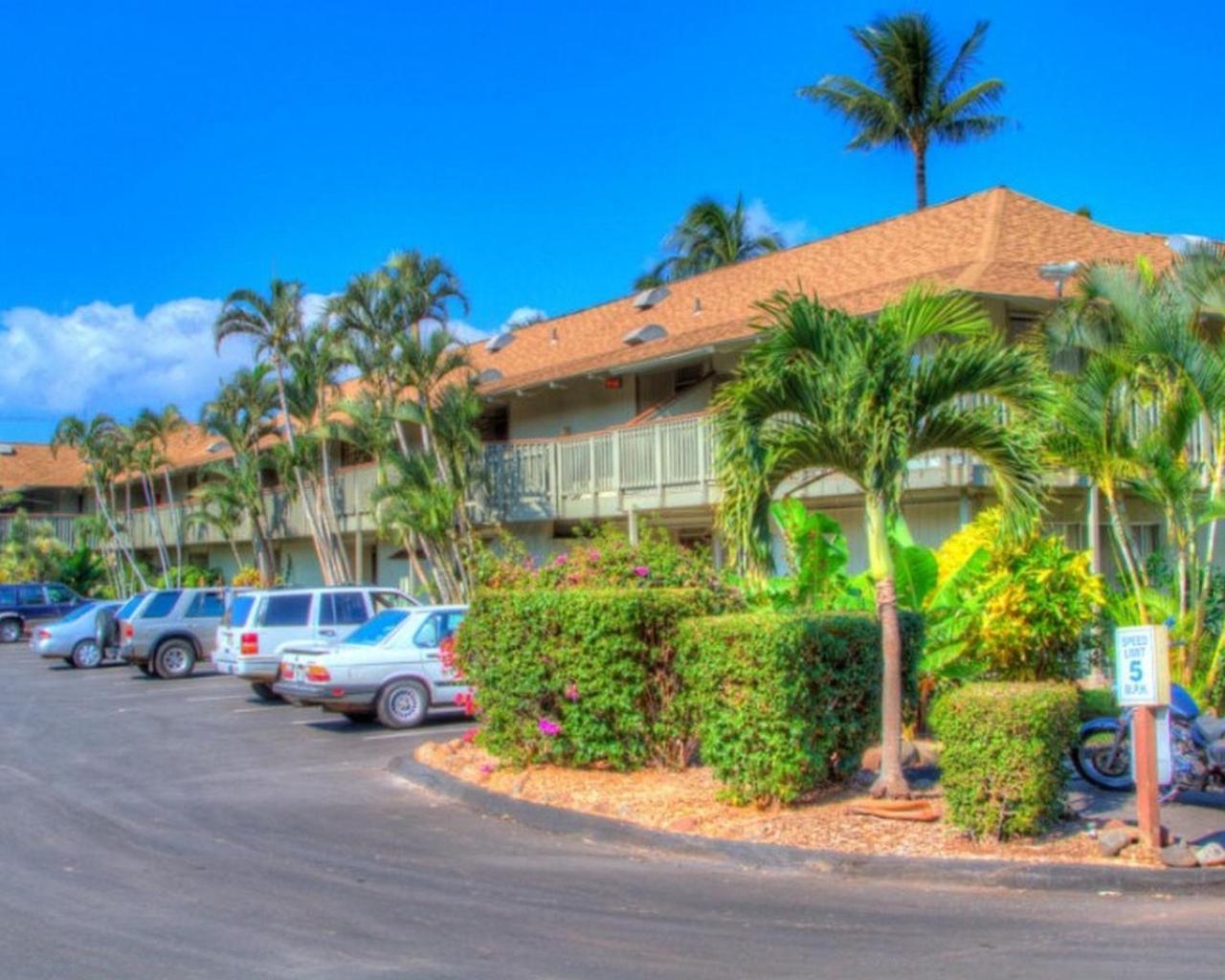 Kihei Bay Surf 130- Garden View Studio, Free Parking 外观 照片